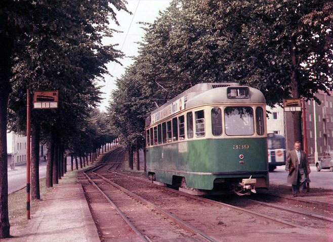 Photo: D. Beath 1960