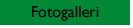 Fotogalleriet