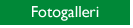 Fotogalleriet